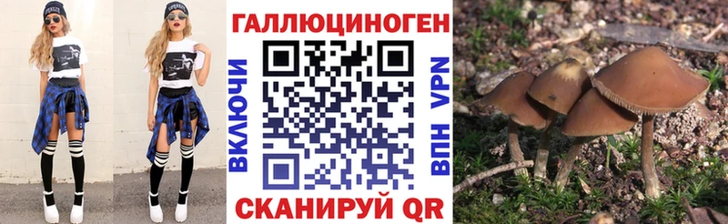 Псилоцибиновые грибы Magic Shrooms  даркнет сайт  Шуя 