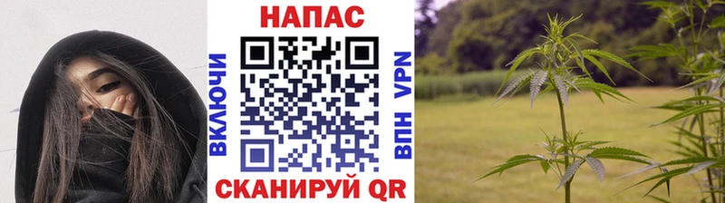 купить наркотики сайты  Шуя  Бошки Шишки MAZAR 